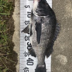 イチノ兄弟(兄)釣果!