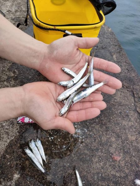 ファミリーフィッシング