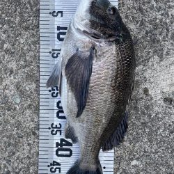 今年初爆釣❗️(イチノ兄弟兄)