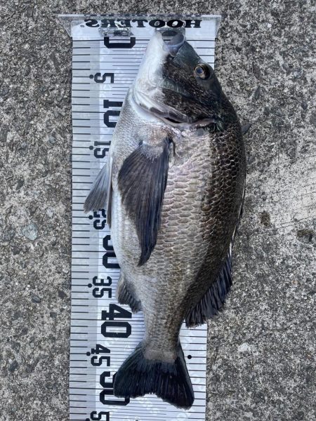 今年初爆釣❗️(イチノ兄弟兄)