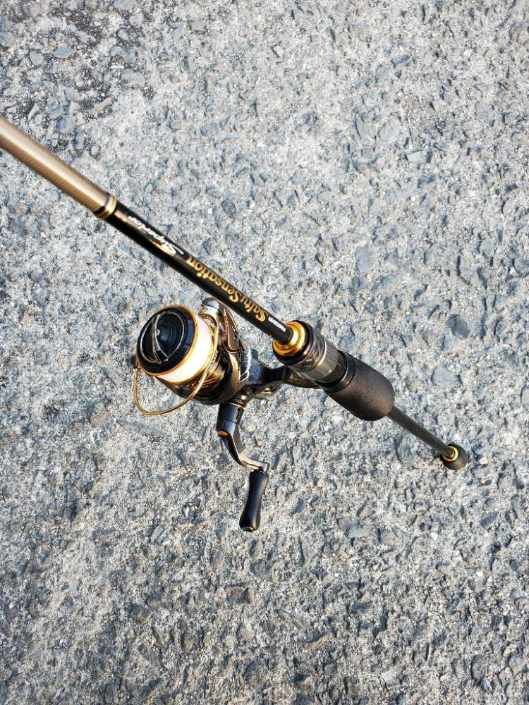 アジング 数はボチボチ、型はいまいち