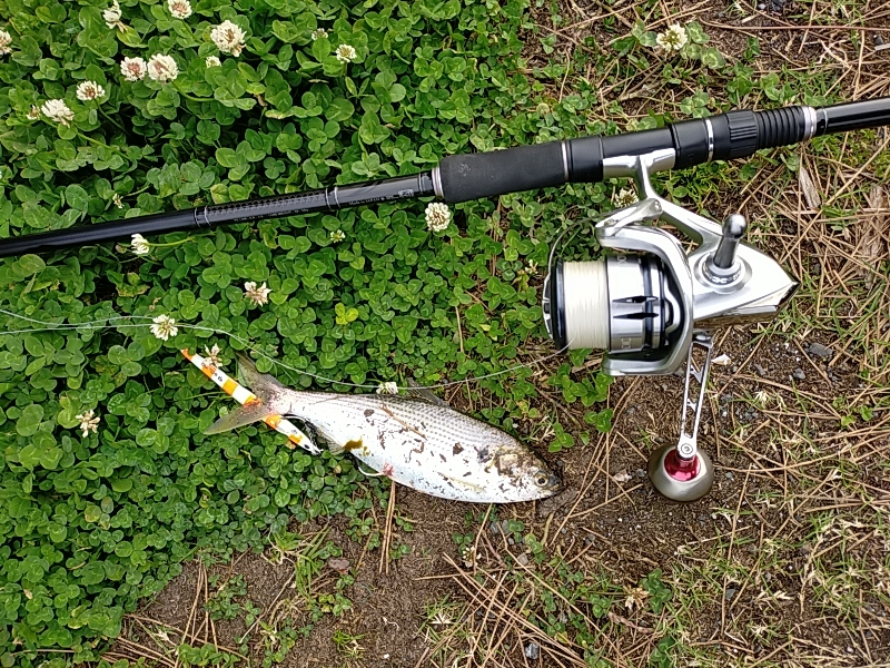 フィッシュイーターはいませんでした