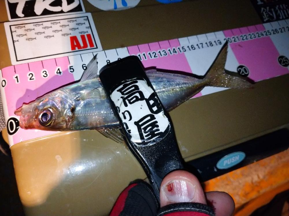 今夜も爆風アジング