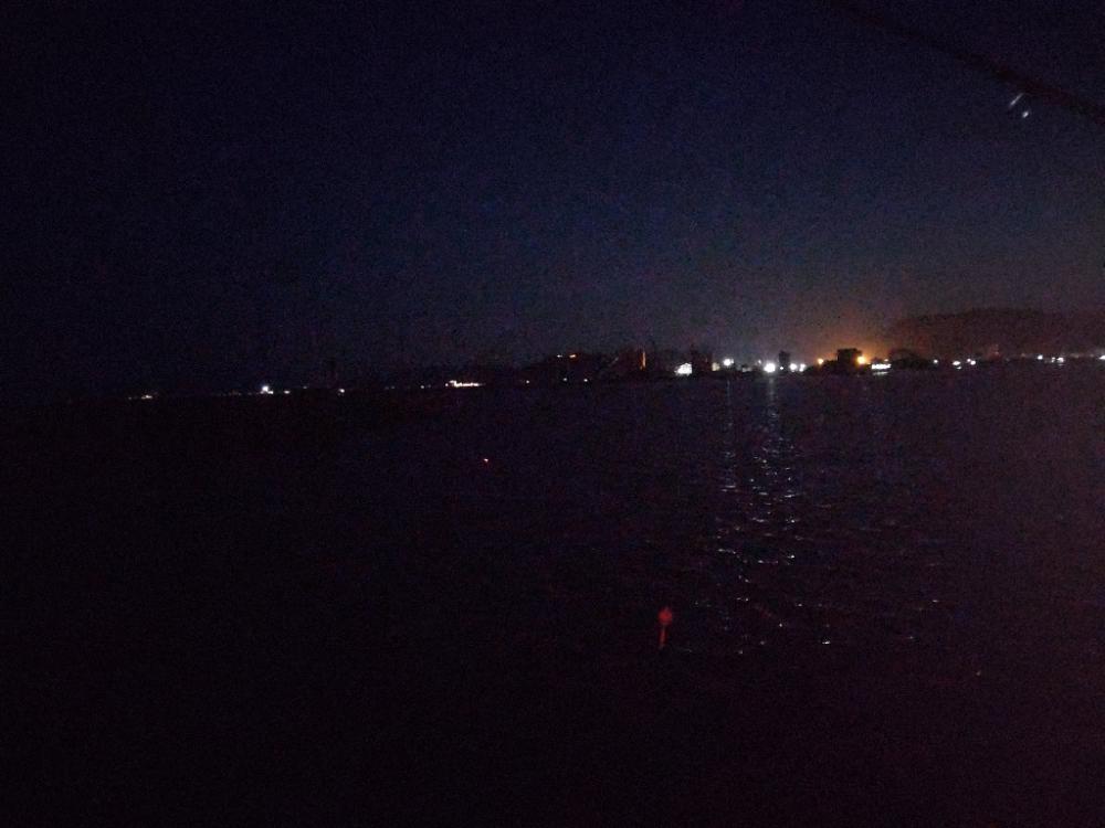 アジ探し@淡路島