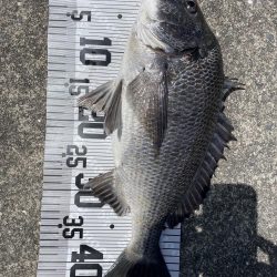 イチノ兄弟（兄）ちょ！