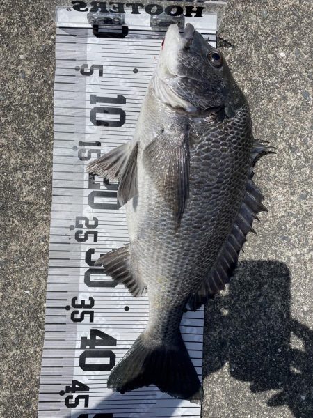 イチノ兄弟（兄）ちょ！