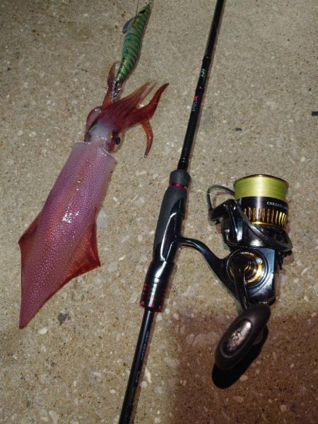 風時々雨エギングIN対馬