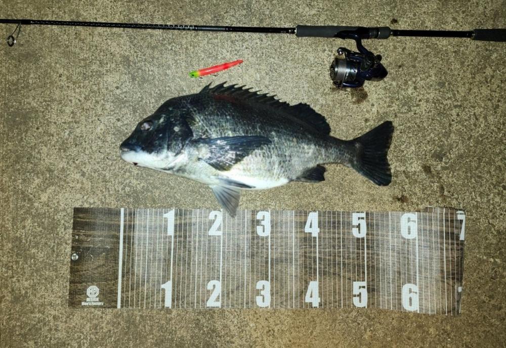 連日バチ抜け🎣