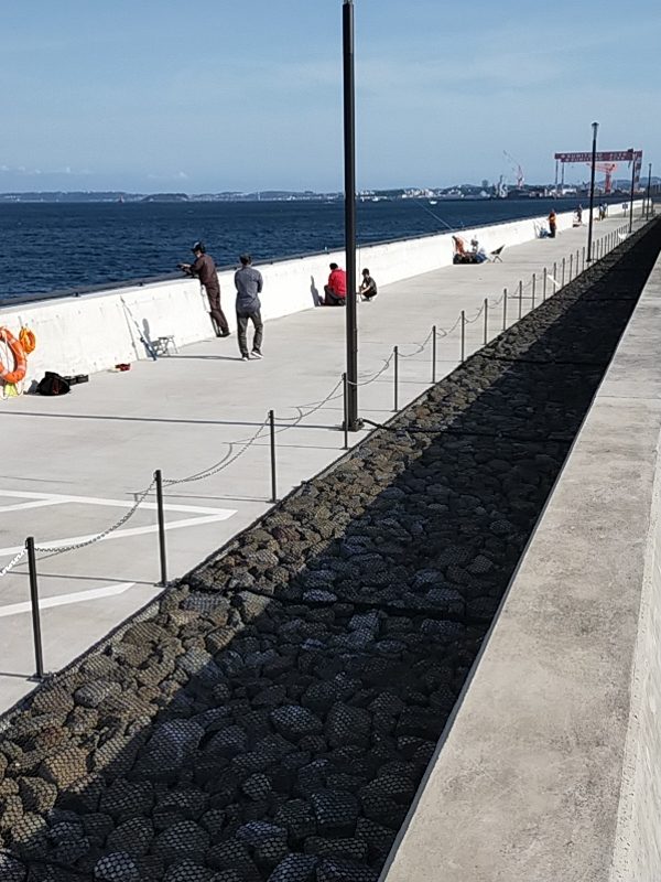 金沢水際線緑地オープン❢