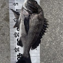 イチノ兄弟(兄)釣果!