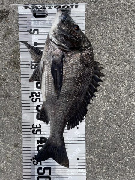 イチノ兄弟(兄)釣果!