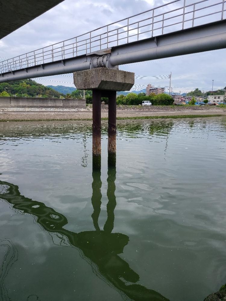 やっぱオモロイ