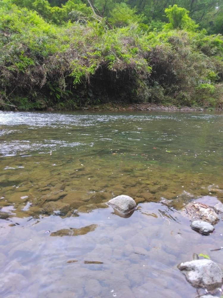 年一のエリアトラウト