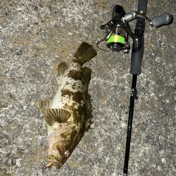 今年初のメバリング釣行