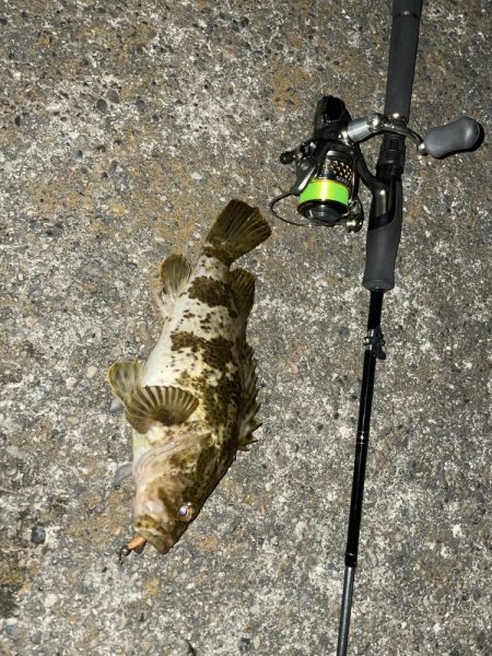 今年初のメバリング釣行