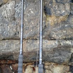 春政求めるも…