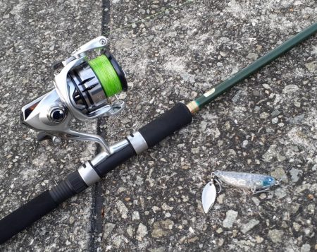 西宮　シーバス