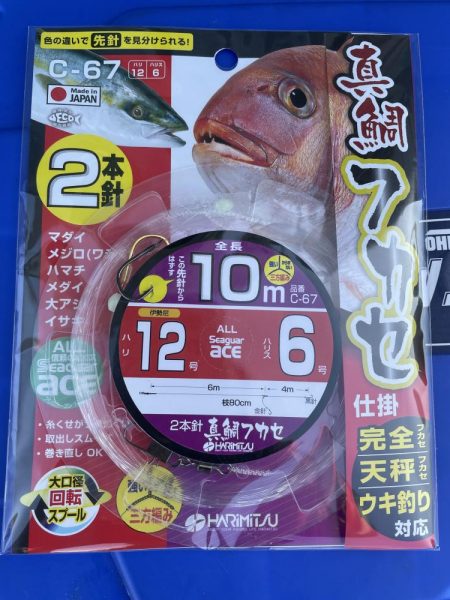 完全フカセでイサキ釣り