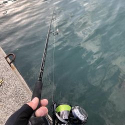 いつものご近所釣行