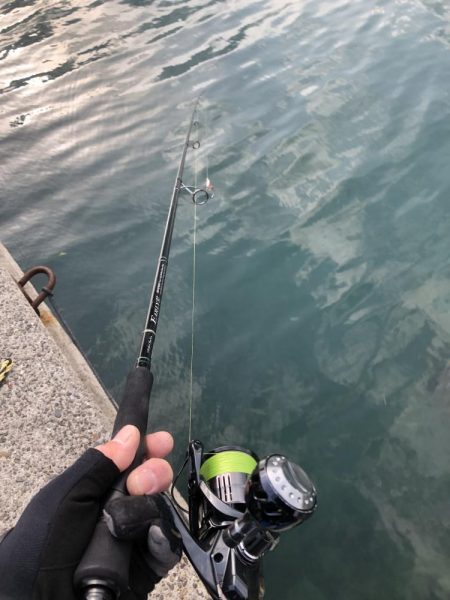 いつものご近所釣行