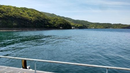 じっと我慢のメジロ