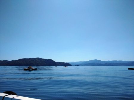 筏ショアジギングでサゴシ