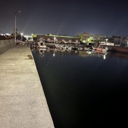 0.08号　PFラインの実力は？