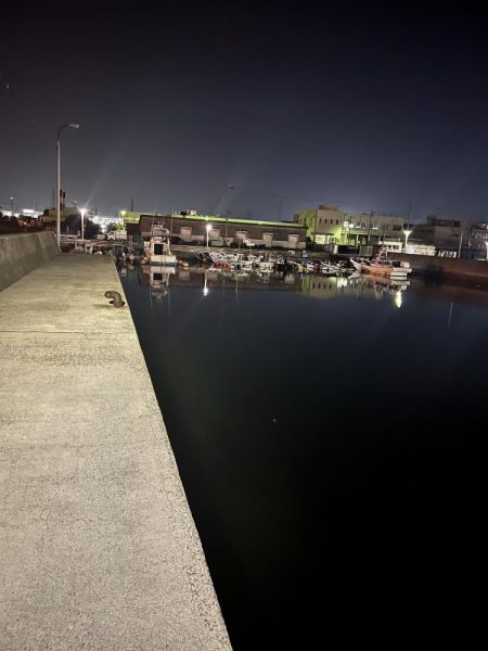 0.08号　PFラインの実力は？