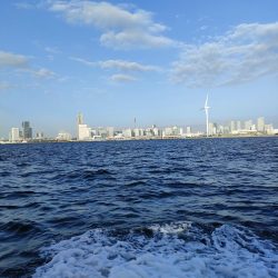 マゴチ釣り『だてまき丸』にて