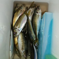 時期が来ましたか？