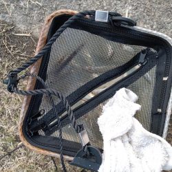 2023/04/09 大阪市内河川 稚鮎釣り