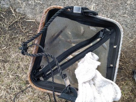 2023/04/09 大阪市内河川 稚鮎釣り