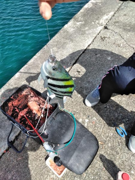 フカセ‥最高ですネ・・