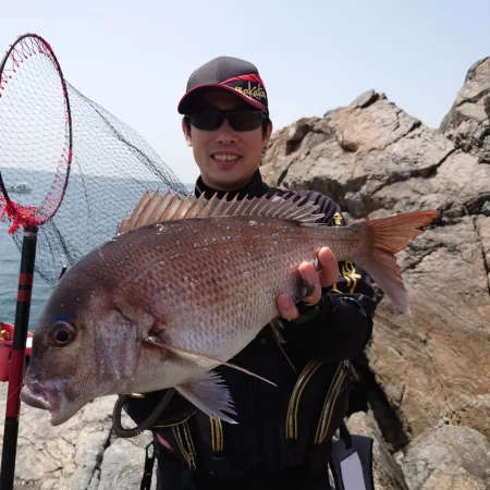 ノッコミ祭開催中？