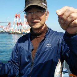 播磨新島のキス釣査