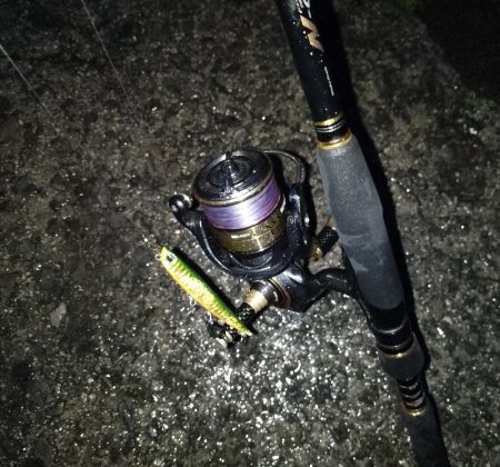 やっぱり時合いは短い…