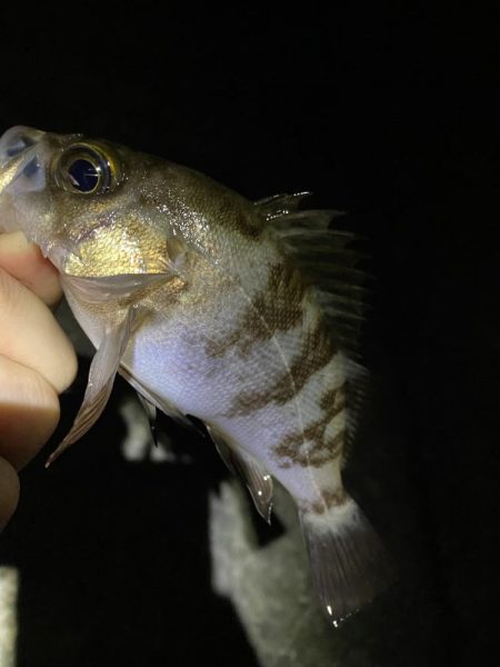 あの手この手で