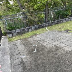 ★★今日は、370匹でした。★★