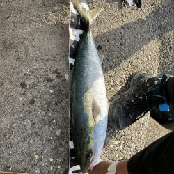 今日も時合い短し