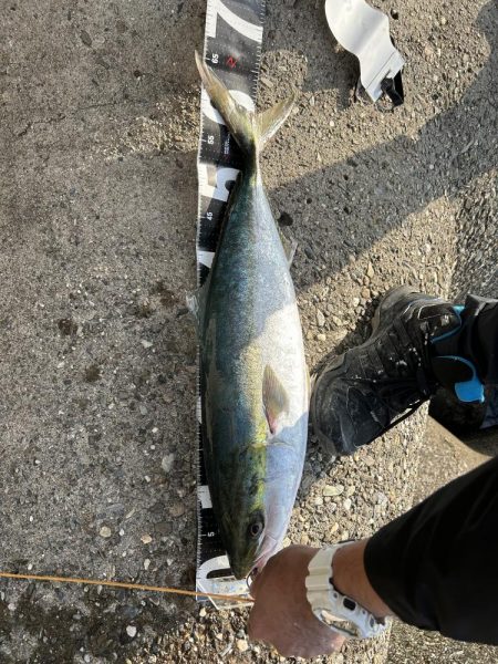 今日も時合い短し