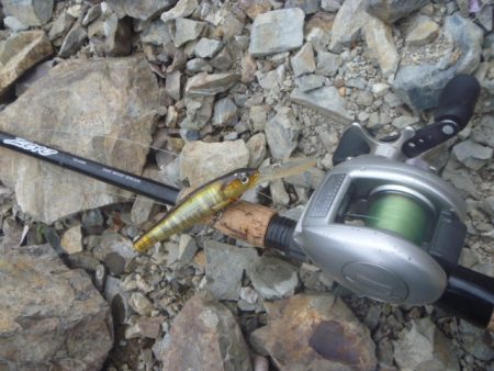 桜散る春のバス