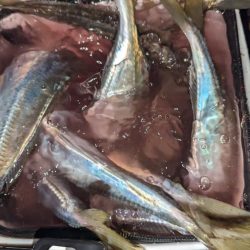 フロートアジング