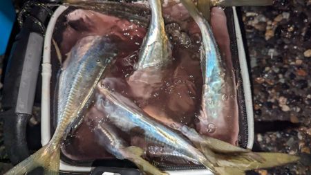 フロートアジング