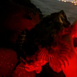 雨上がりの特攻