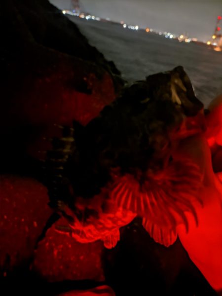 雨上がりの特攻