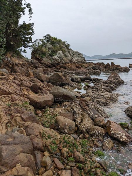 エギング&アジング