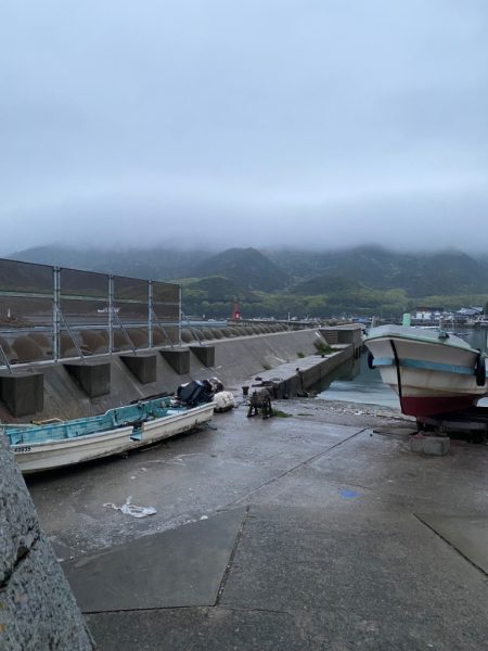 ハネ(セイゴ？)45センチ