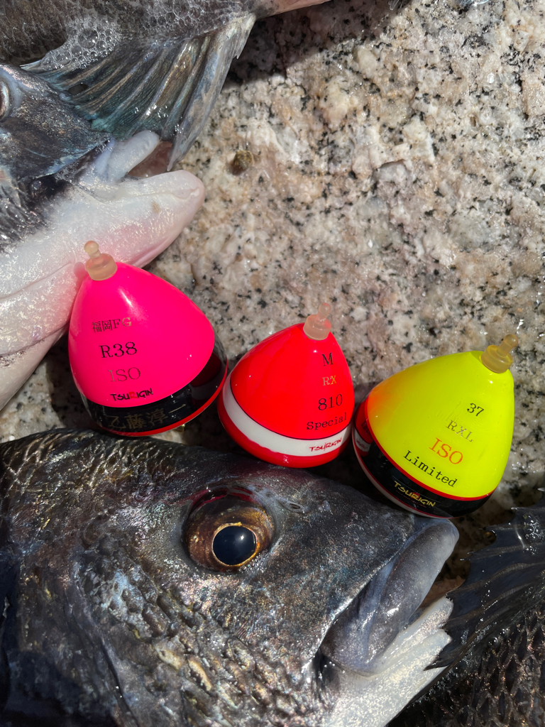 サンライン ファンカップin徳山