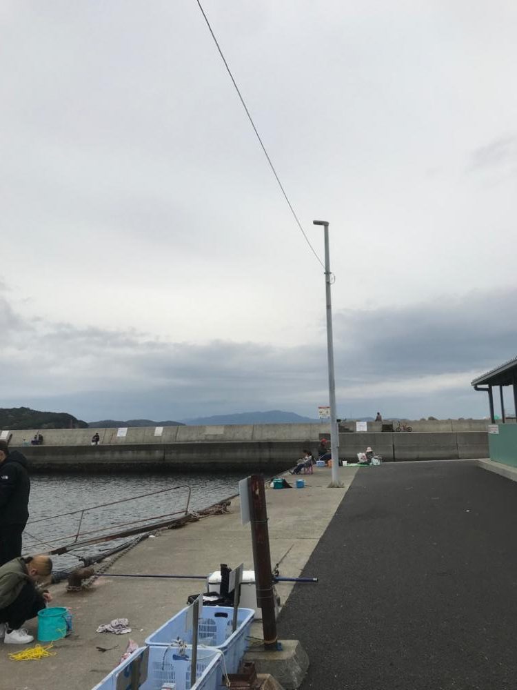 シーバスウヨウヨ!