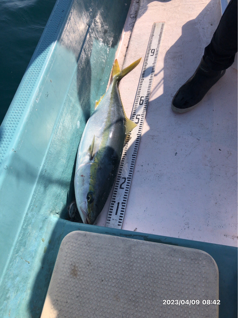 4/9 伊島沖ジギング&タイラバ